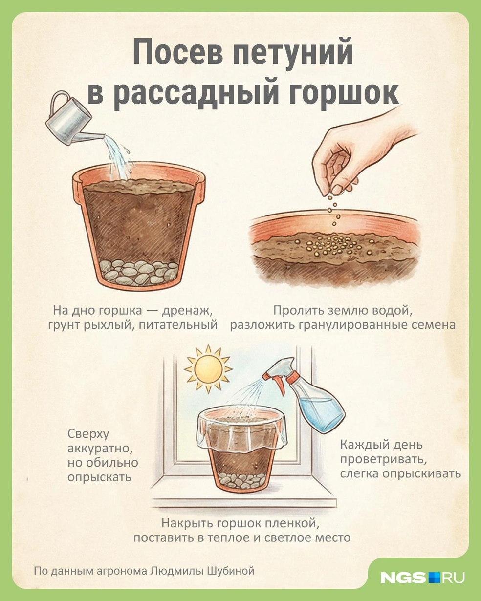 Источник: Юрий Орлов / Городские медиа