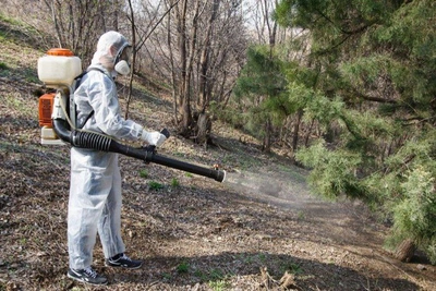 В Костроме выбран подрядчик для акарицидной обработки