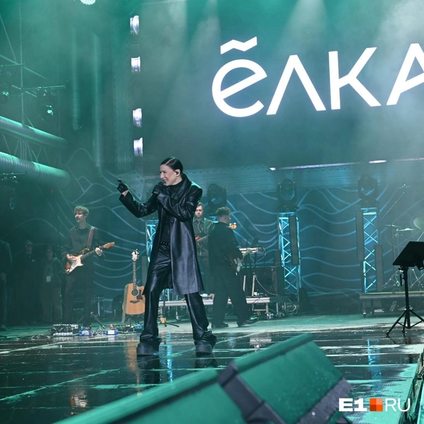 Источник: Дмитрий Емельянов / E1.RU