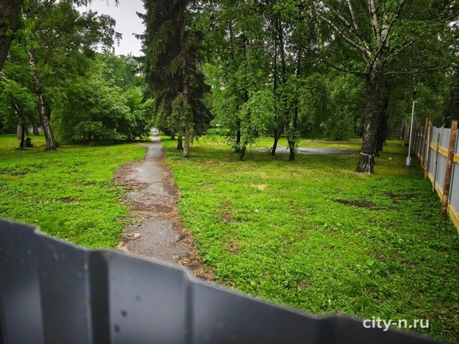 Источник: www.city-n.ru