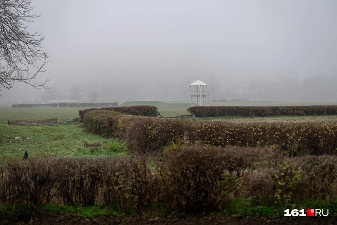 Источник: Евгений Вдовин / 161.RU