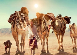 В «Музеоне» состоится премьера ленты «Тропы»