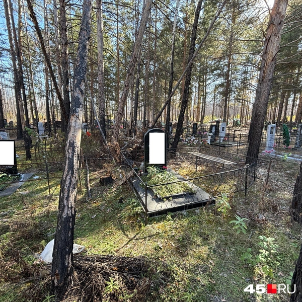 Источник: Кирилл Митин