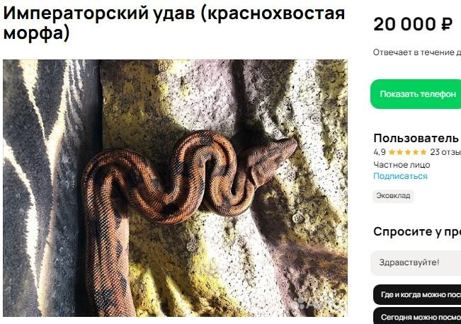 Источник: сайт объявлений