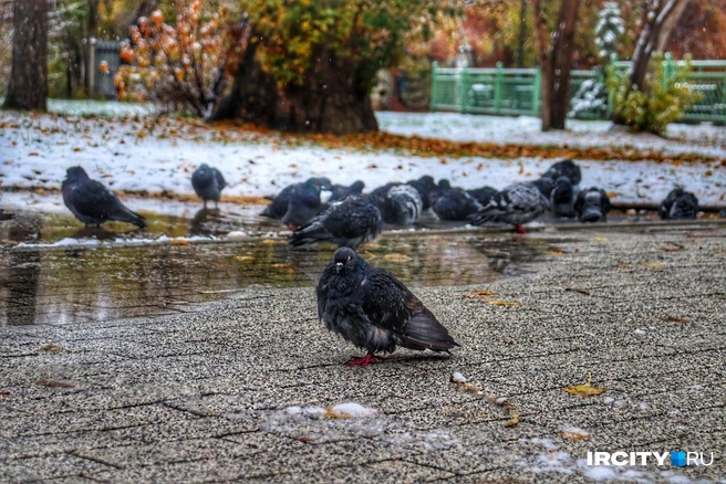 «Что вы тут фотографируете?» | Источник: Алёна Кашпарова / «ИрСити»