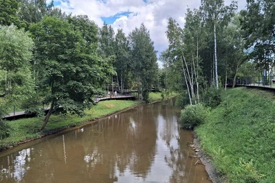 Реки Петербурга и стоки: что показывает контроль