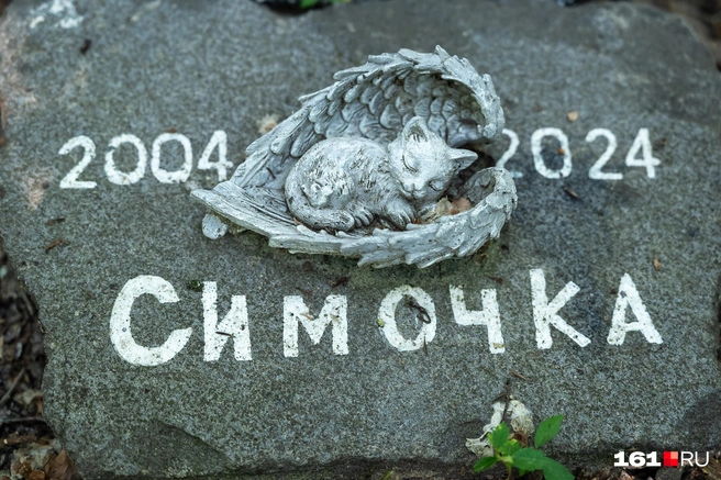Это очень мило и очень грустно | Источник: Евгений Вдовин / 161.RU