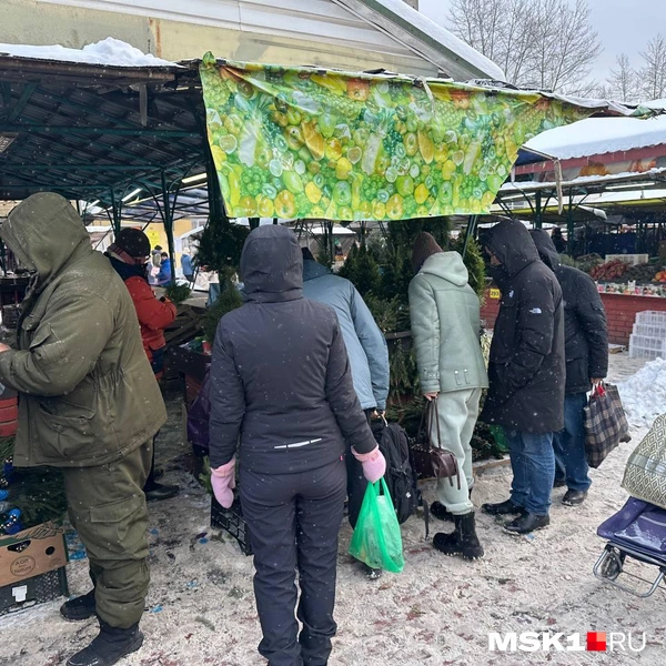 Источник: читательница MSK1.RU Екатерина