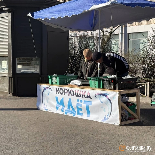 На углу проспекта Металлистов и Пискаревского | Источник: Дарья Драй / «Фонтанка.ру»