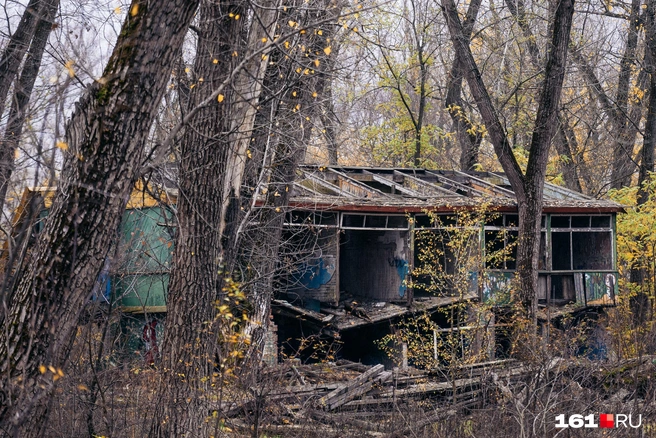 Источник: Евгений Вдовин / 161.RU