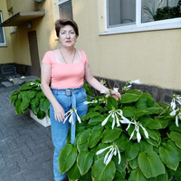 Аватарка Funtik2014