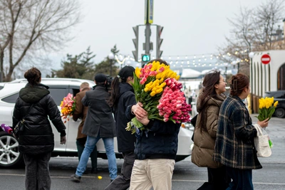 Места для продажи тюльпанов во Владивостоке определили