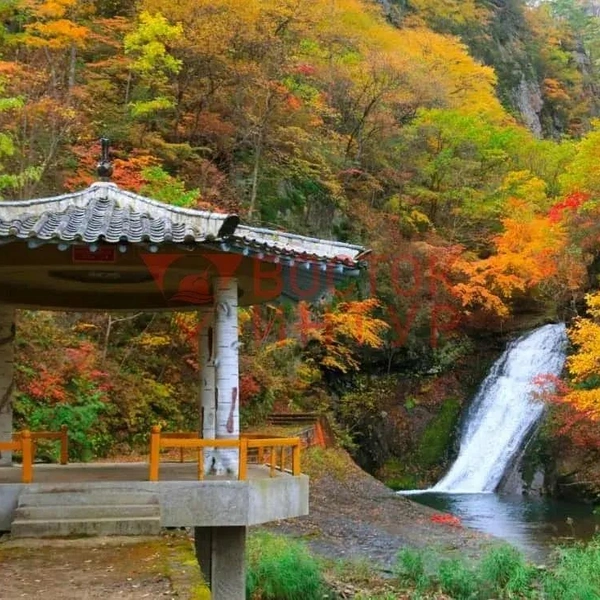 Источник: ООО&nbsp;«Восток Интур»