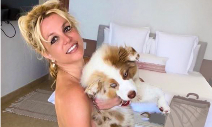 Бритни Спирс выложила обнаженные фото и посоветовала подписчикам заводить собак