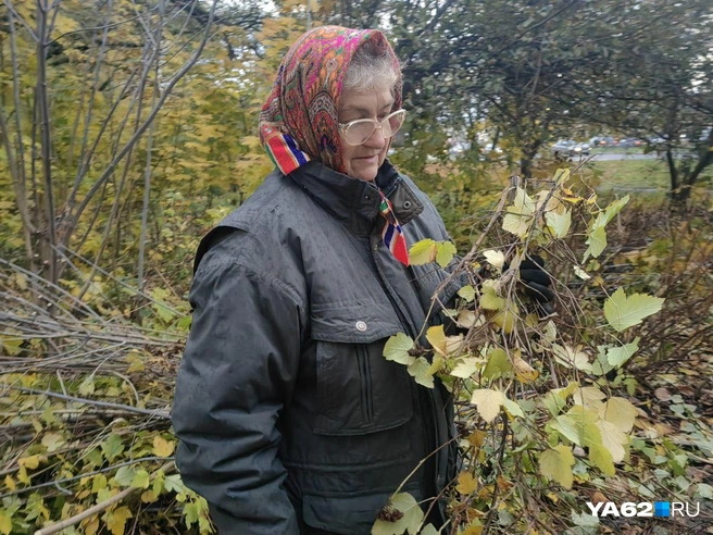 Галина Вадимировна пытается своими силами облагородить район | Источник: Кристина Мельникова / YA62.RU