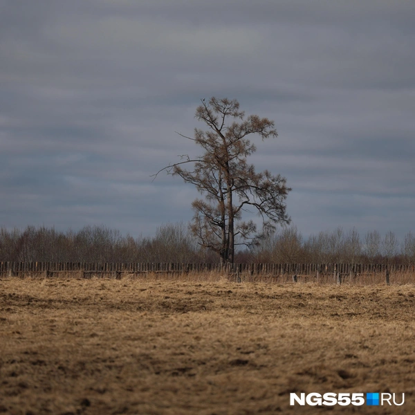 Выглядит пугающе одиноко | Источник: Евгений Софийчук / NGS55.RU