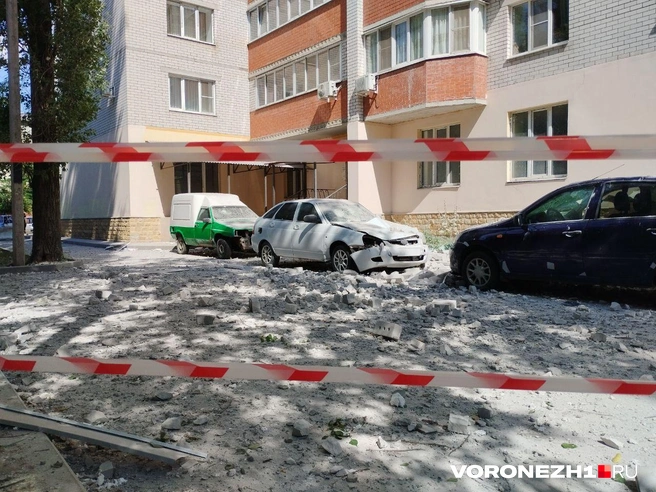 Источник: Дмитрий Волгин / Voronezh1.ru