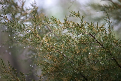 В Ростовской области ожидается потепление