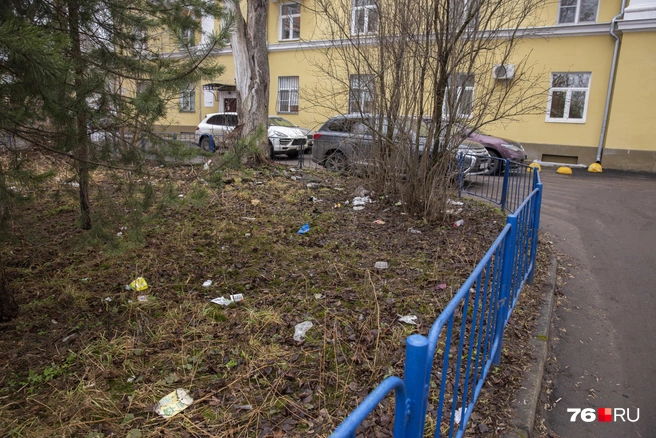 А вот мусор вокруг совсем неэлитный | Источник: Александра Савельева