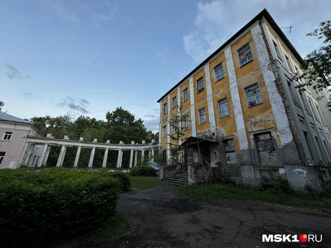 Источник: Алина Мельникова / MSK1.RU