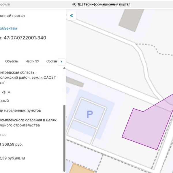 Информация об одном из участков на этой территории из Публичной кадастровой карты | Источник: Публичная кадастровая карта