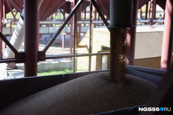 Упал спрос и на фуражное зерно  | Источник: Евгений Софийчук / NGS55.RU 