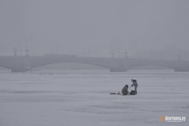 Морозы — однозначно. Насколько сильные — вопрос к облакам | Источник: Михаил Огнев / «Фонтанка.ру»