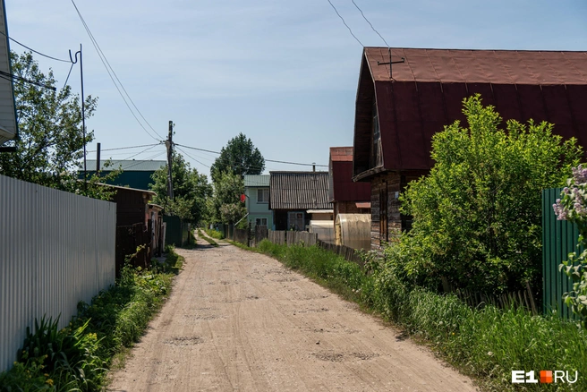В большинстве СНТ председатели получают зарплату | Источник: Александр Ощепков / Гороские медиа