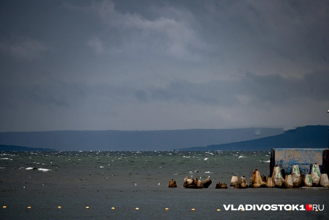 Источник: Елена Буйвол / VLADIVOSTOK1.RU