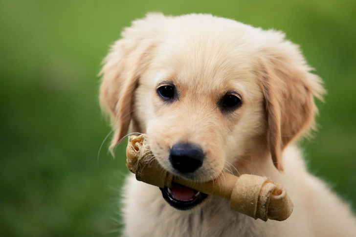 Источник: Shutterstock