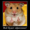 userpic__topoz59
