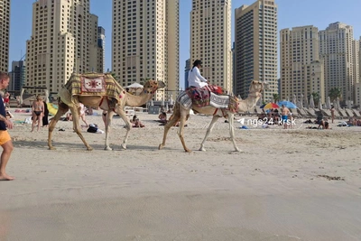 «Пусто на намазе»: красноярка о жизни в Дубае при атаках