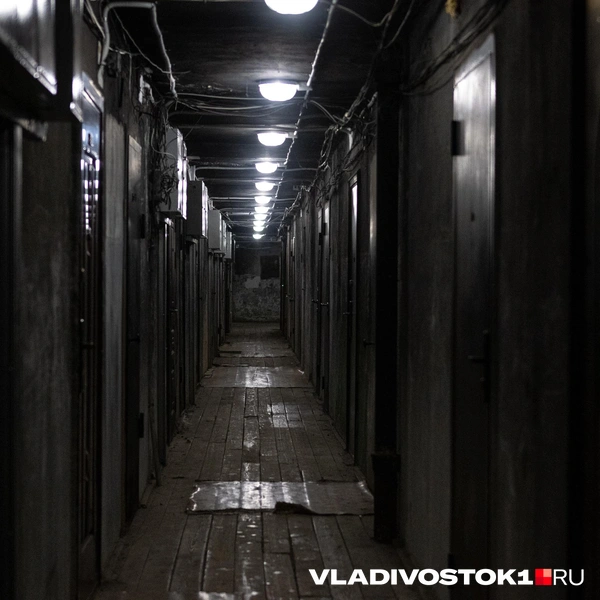 Источник: Елена Буйвол / VLADIVOSTOK1.RU