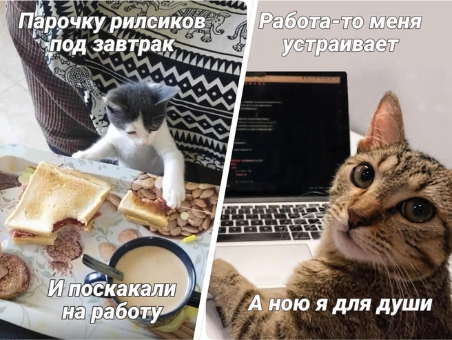 Подборка забавных мемов о работе | Источник: Полина Авдошина / Городские медиа