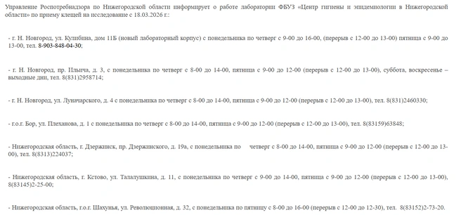 Источник: Роспотребнадзор по Нижегородской области