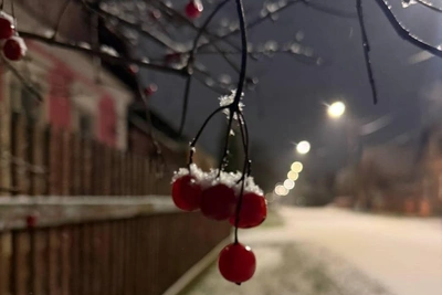 Долгожданный снег обрушился на Москву и область