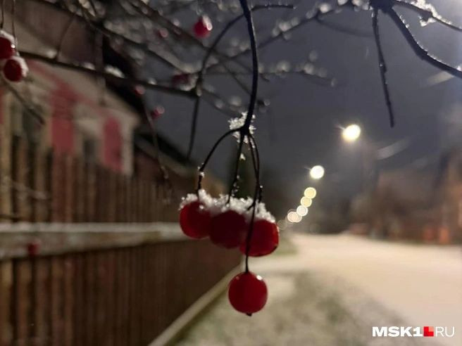 В Москве и Серпухове пошел снег | Источник: Читательница MSK1.RU