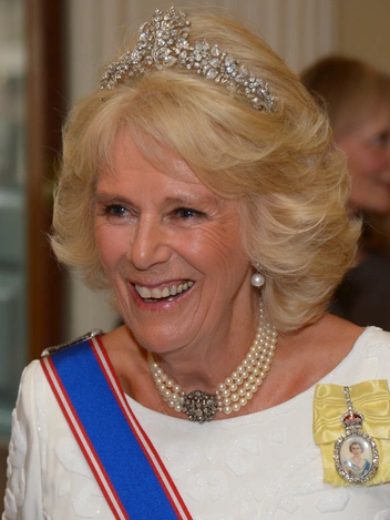 Герцогиня на ежегодном ужине Академии искусств, 2 июня 2015