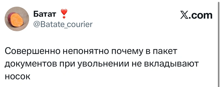 Источник: X (Twitter)