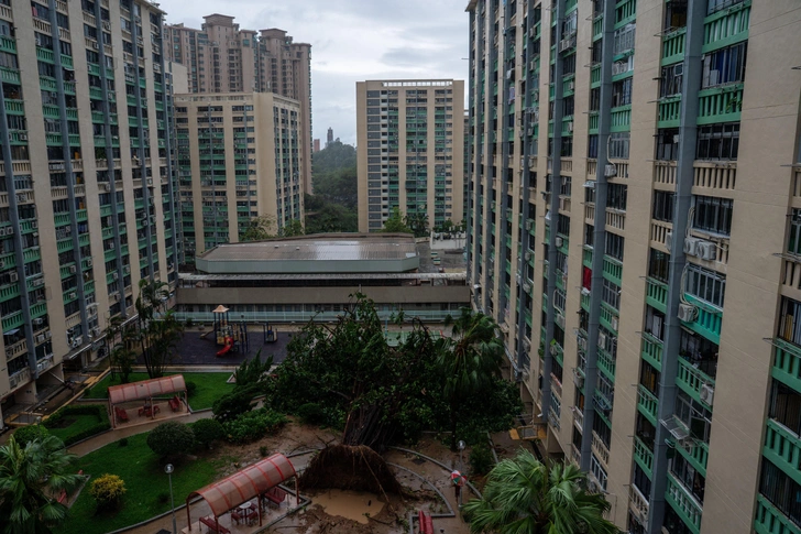 Источник: Nexpher Images Limited