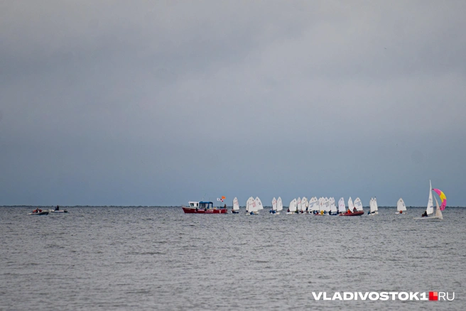 Источник: Елена Буйвол / VLADIVOSTOK1.RU