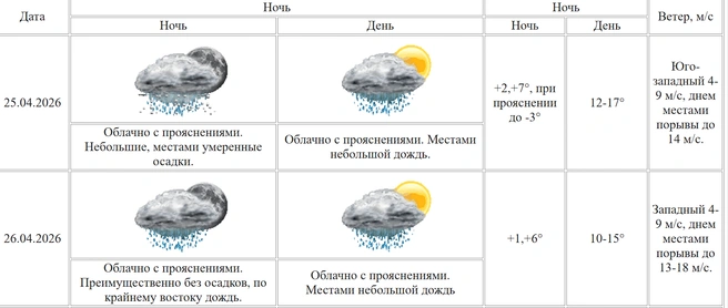 Курганские синоптики прогнозируют небольшой дождь на воскресенье | Источник: kurganpogoda.ru