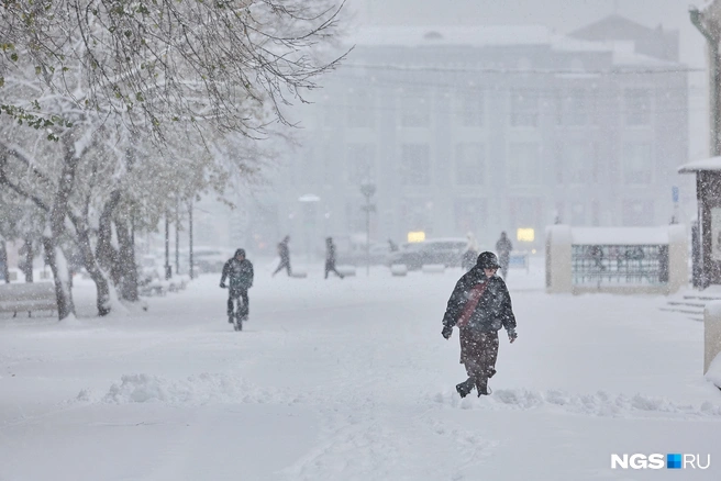 Зима пришла раньше времени и еще удивит новосибирцев | Источник: Александр Ощепков / NGS.RU