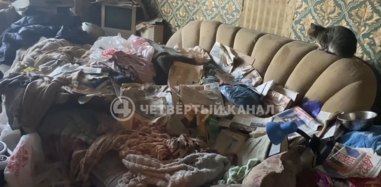 Пенсионерка из Екатеринбурга превратила дом в помойку с трупами животных: неожиданный итог громкой…