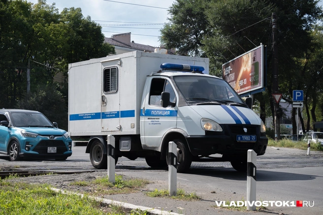 Наглое преступление шокировало приморцев | Источник: Елена Буйвол / VLADIVOSTOK1.RU