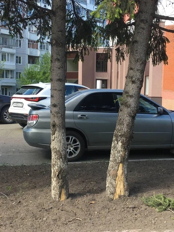Источник: «Ландшафтные волонтеры» / Vk.com