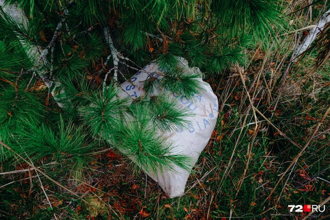 Здесь хранится клюква, которую продадут уже позже, зимой | Источник: Анастасия Малышкина / 72.RU