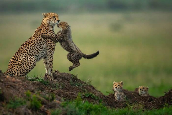 Источник: Pradeep Ravi / oneeyeland.com