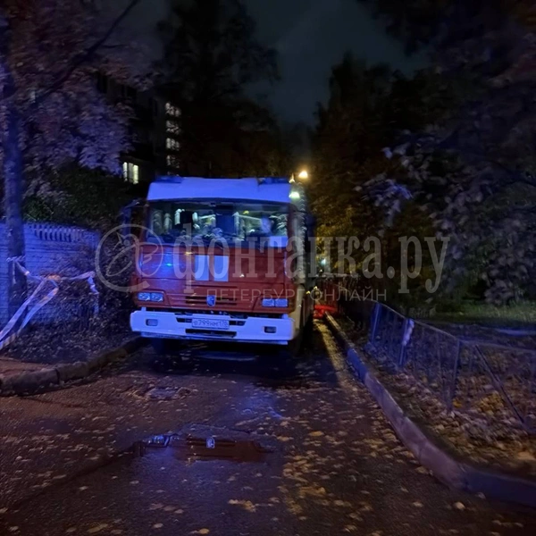 Источник: «Фонтанка.ру»