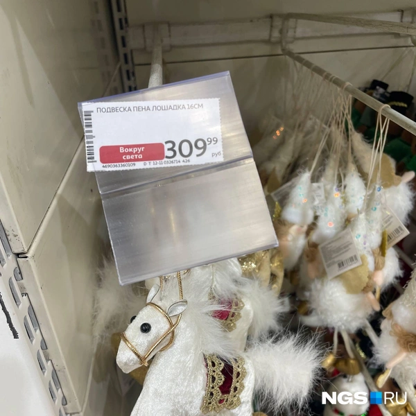 Лошадь, не до конца понимающая, что наступает ее год  | Источник: Алёна Золотухина / NGS.RU